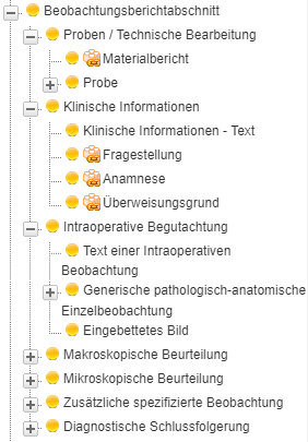 Beobachtungsberichtabschnitte in ART-DECOR