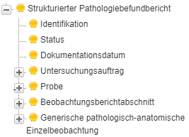 Overall view of the pathology report in ART-DECOR