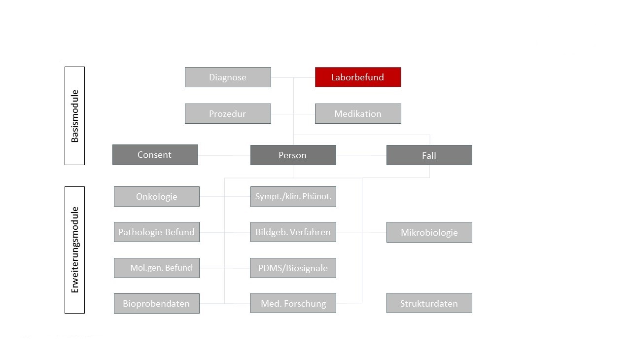Overview of the Laboratory Report module