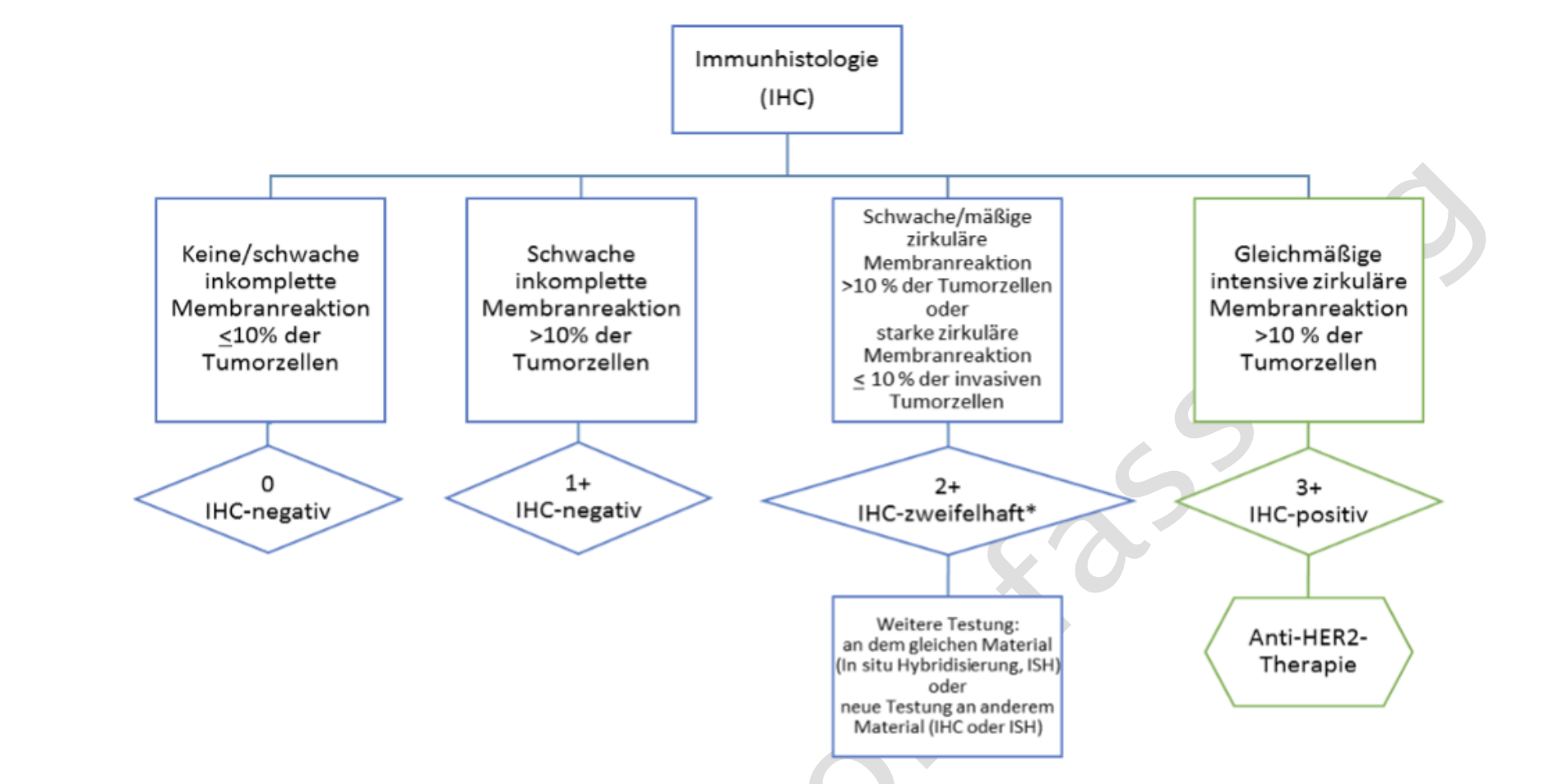 her2neu-2